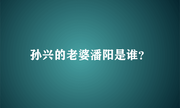 孙兴的老婆潘阳是谁？