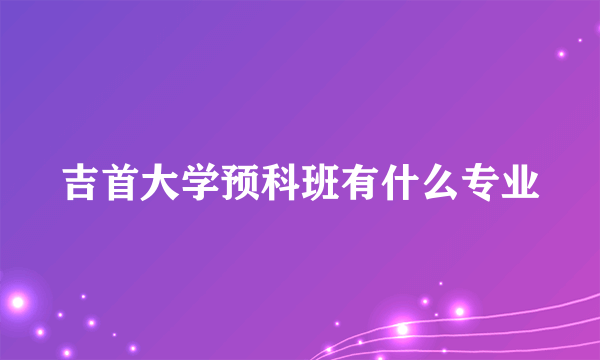 吉首大学预科班有什么专业