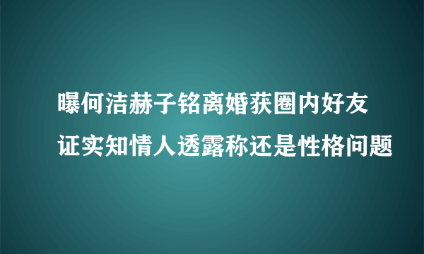 曝何洁赫子铭离婚获圈内好友证实知情人透露称还是性格问题