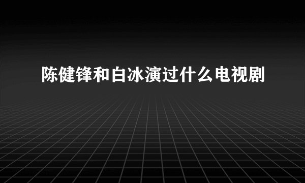 陈健锋和白冰演过什么电视剧