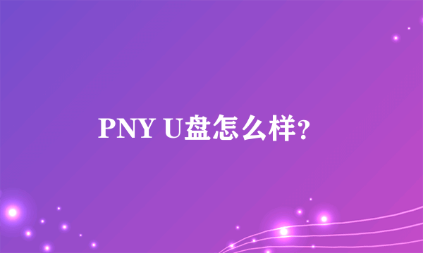 PNY U盘怎么样？