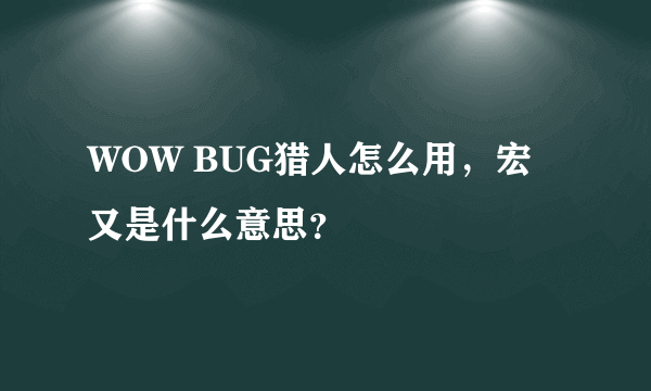 WOW BUG猎人怎么用，宏又是什么意思？