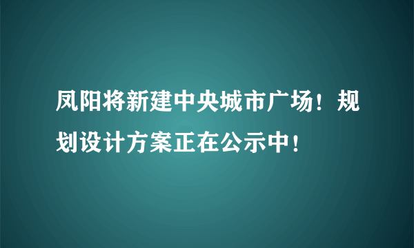 凤阳将新建中央城市广场！规划设计方案正在公示中！