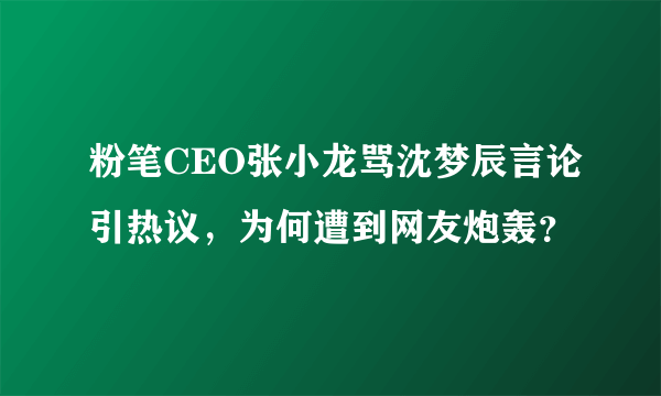 粉笔CEO张小龙骂沈梦辰言论引热议，为何遭到网友炮轰？