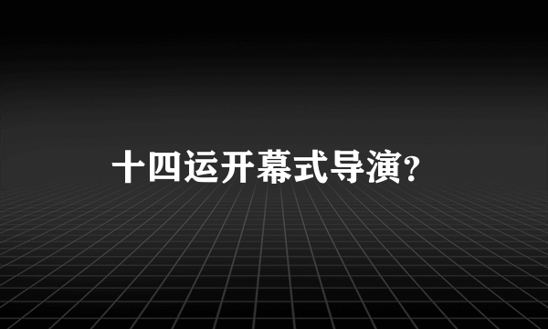 十四运开幕式导演？