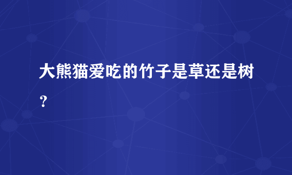 大熊猫爱吃的竹子是草还是树？