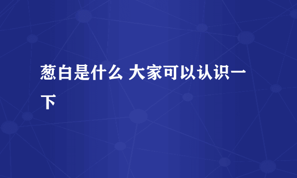 葱白是什么 大家可以认识一下