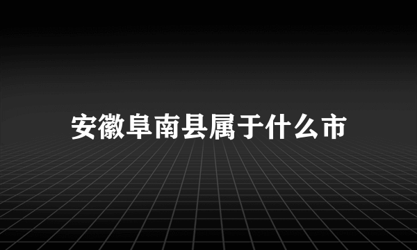 安徽阜南县属于什么市