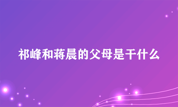 祁峰和蒋晨的父母是干什么