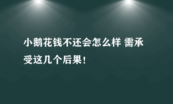 小鹅花钱不还会怎么样 需承受这几个后果！