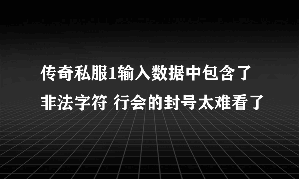 传奇私服1输入数据中包含了非法字符 行会的封号太难看了