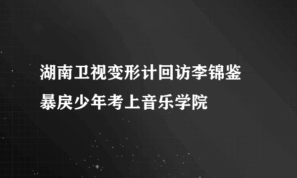 湖南卫视变形计回访李锦鉴 暴戾少年考上音乐学院