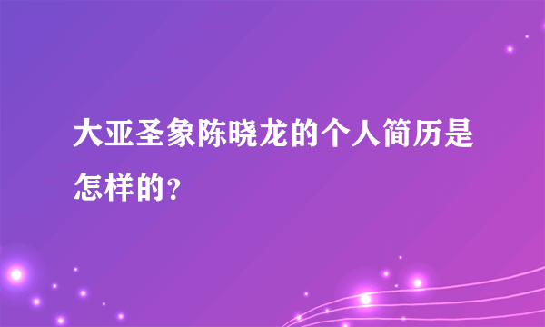 大亚圣象陈晓龙的个人简历是怎样的？