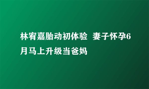 林宥嘉胎动初体验  妻子怀孕6月马上升级当爸妈