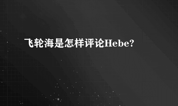 飞轮海是怎样评论Hebe?