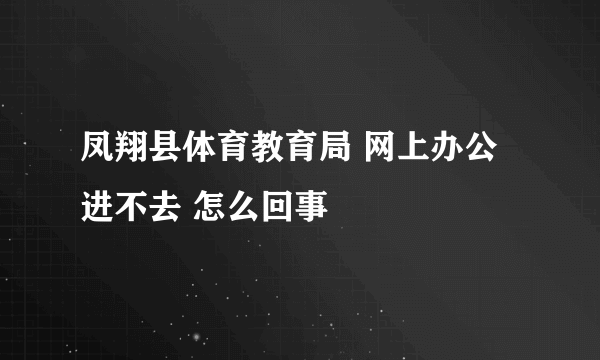 凤翔县体育教育局 网上办公进不去 怎么回事