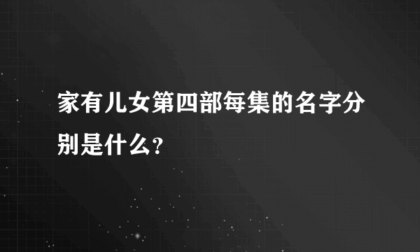 家有儿女第四部每集的名字分别是什么？