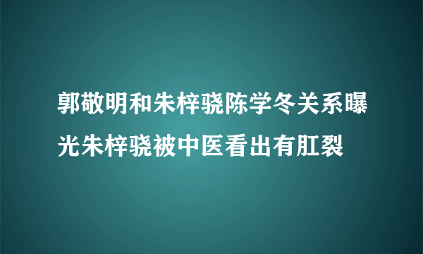 郭敬明和朱梓骁陈学冬关系曝光朱梓骁被中医看出有肛裂