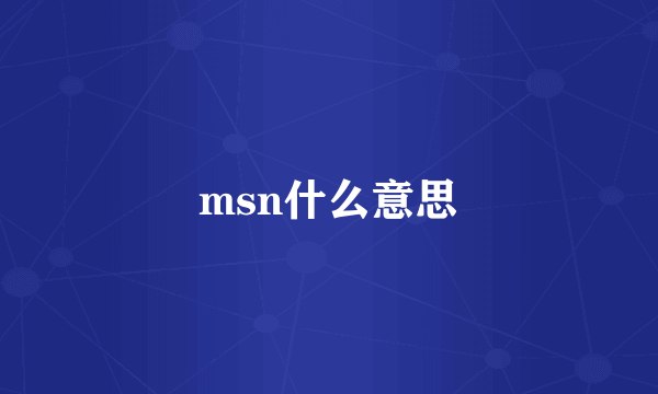 msn什么意思