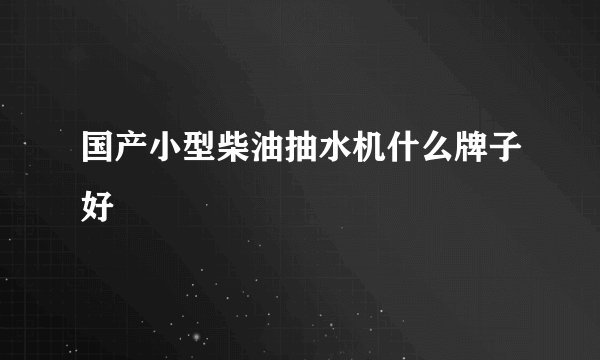 国产小型柴油抽水机什么牌子好