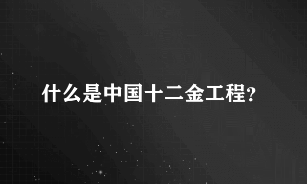 什么是中国十二金工程？