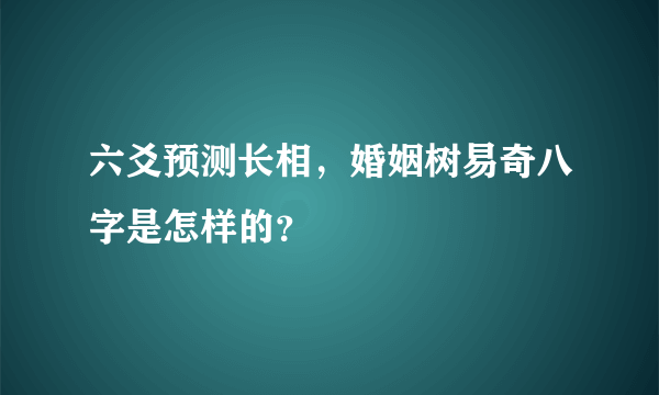 六爻预测长相，婚姻树易奇八字是怎样的？