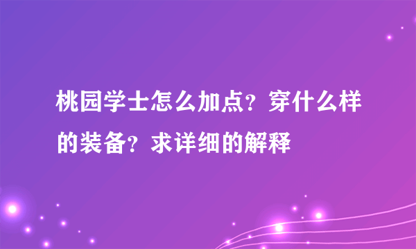 桃园学士怎么加点？穿什么样的装备？求详细的解释