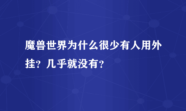 魔兽世界为什么很少有人用外挂？几乎就没有？