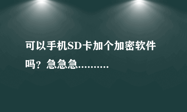 可以手机SD卡加个加密软件吗？急急急..............................