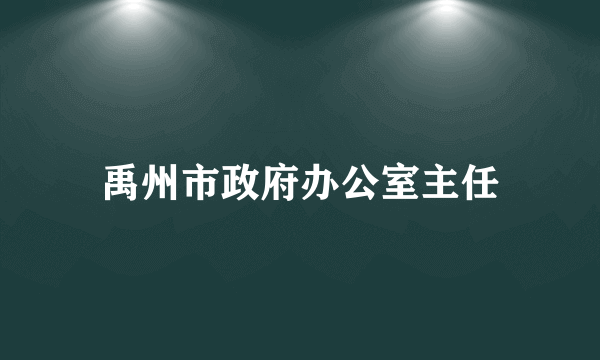 禹州市政府办公室主任