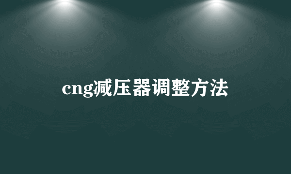 cng减压器调整方法