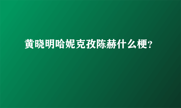 黄晓明哈妮克孜陈赫什么梗？