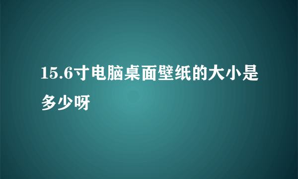 15.6寸电脑桌面壁纸的大小是多少呀