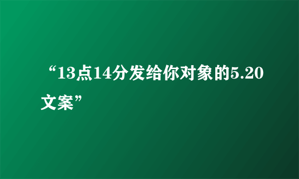 “13点14分发给你对象的5.20文案”