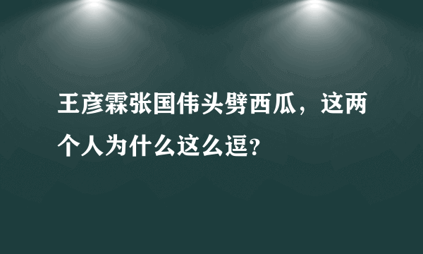 王彦霖张国伟头劈西瓜，这两个人为什么这么逗？