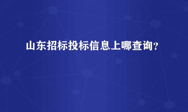 山东招标投标信息上哪查询？