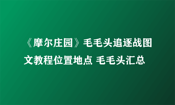 《摩尔庄园》毛毛头追逐战图文教程位置地点 毛毛头汇总