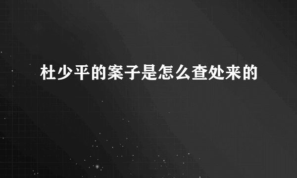 杜少平的案子是怎么查处来的