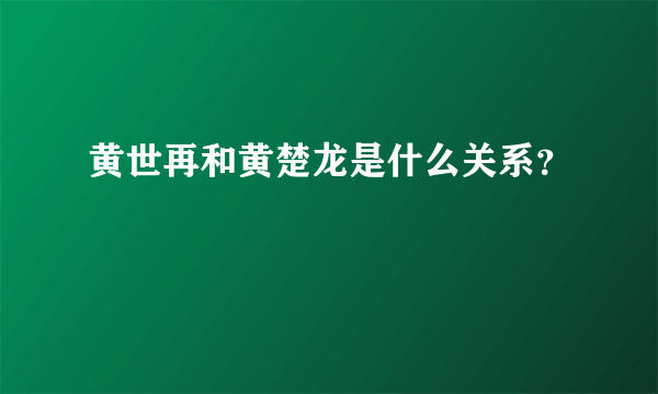 黄世再和黄楚龙是什么关系？