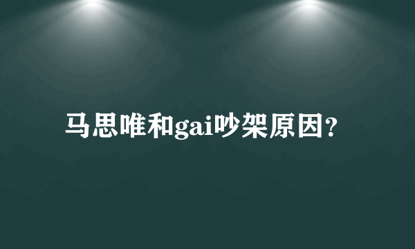 马思唯和gai吵架原因？