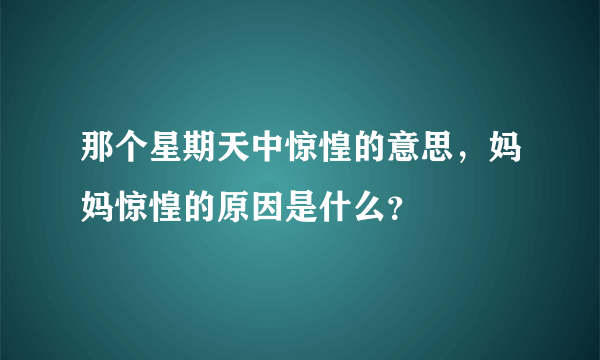 那个星期天中惊惶的意思，妈妈惊惶的原因是什么？