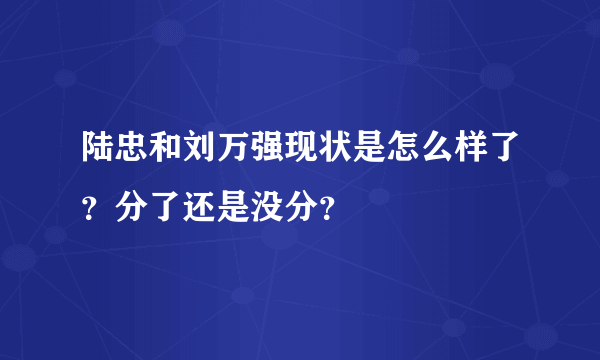 陆忠和刘万强现状是怎么样了？分了还是没分？