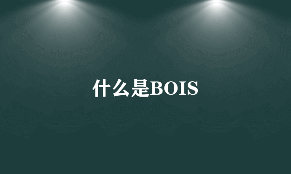 什么是BOIS