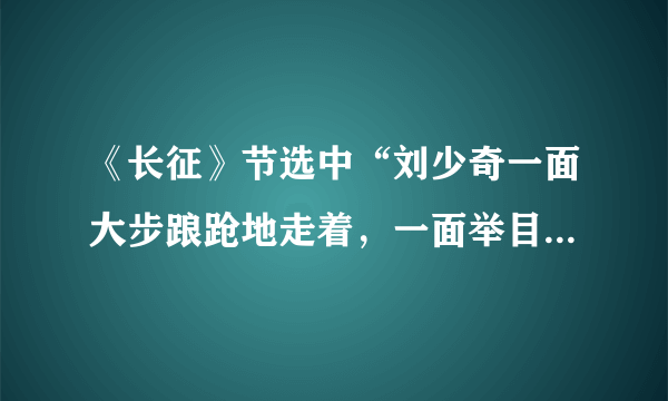 《长征》节选中“刘少奇一面大步踉跄地走着，一面举目四望。”的“踉跄”有什么意思？