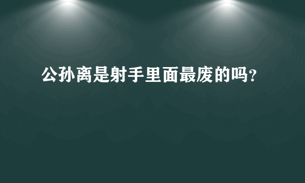 公孙离是射手里面最废的吗？