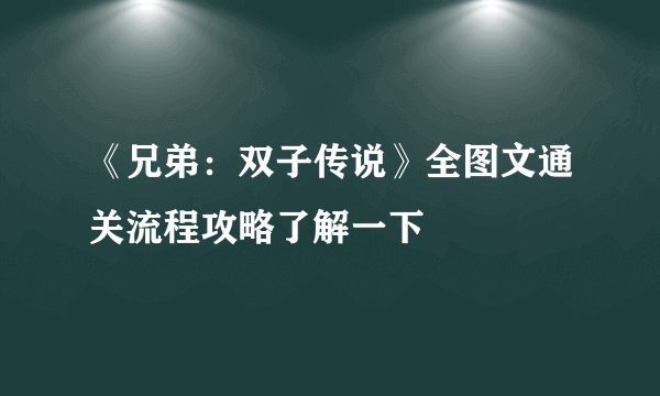 《兄弟：双子传说》全图文通关流程攻略了解一下