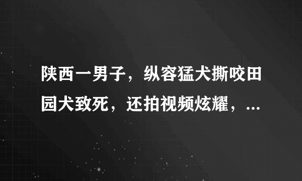 陕西一男子，纵容猛犬撕咬田园犬致死，还拍视频炫耀，你怎么看？