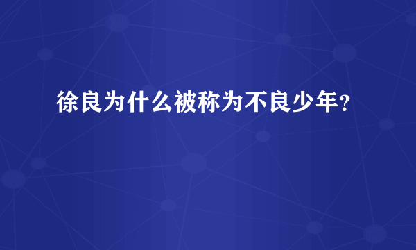 徐良为什么被称为不良少年？