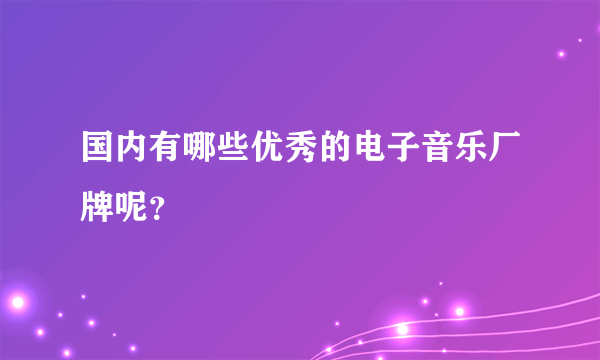 国内有哪些优秀的电子音乐厂牌呢？