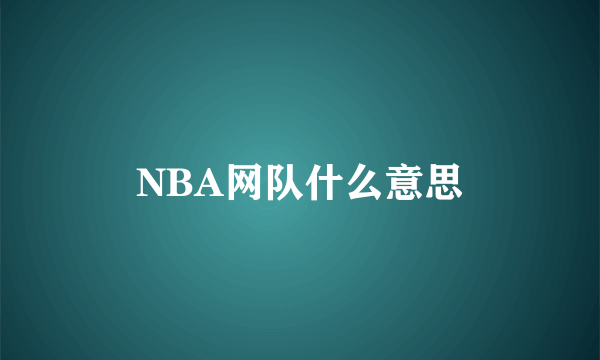 NBA网队什么意思